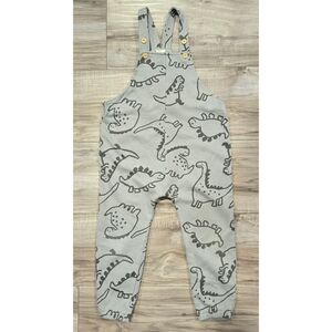 Gray Dinosaur Print Kids Overalls
